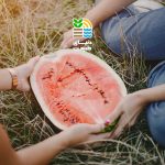 بهترین کود برای افزایش باردهی هندوانه و روش صحیح مصرف آن در مراحل مختلف رشد