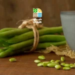 کاشت لوبیا سبز