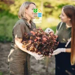 بهترین کود برای درخت ازگیل