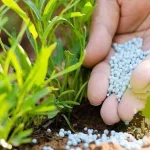 تفاوت کودشیمیایی و طبیعی