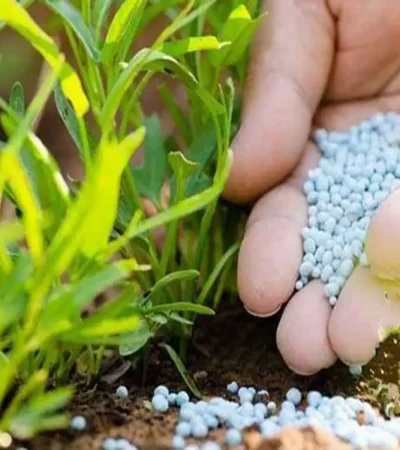 تفاوت کودشیمیایی و طبیعی