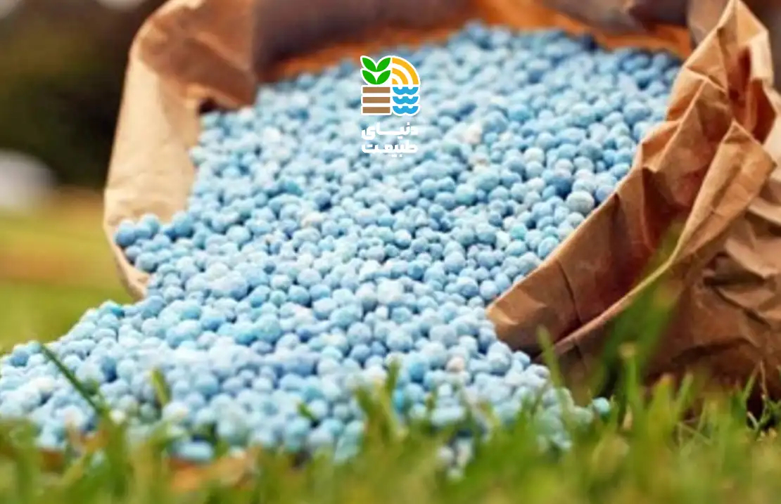 بهترین کود شیمیایی برای گیاهان چیست؟ بررسی انواع کودها، مزایا و معایب + نکات مصرف 25 کود شیمیایی