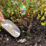 بهترین کود برای گیاهان در فصل پاییز