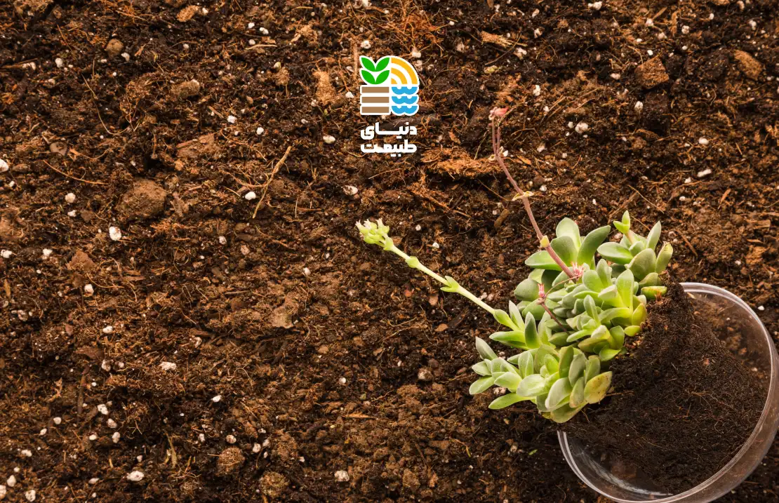 کود NPK چیست و چه تاثیری در رشد و کیفیت محصولات کشاورزی دارد؟ + کاربرد، مزایا و نحوه مصرف اصولی 25 کود NPK