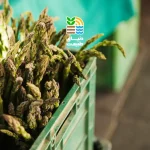 گوگرد در کشاورزی