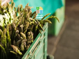 گوگرد در کشاورزی