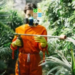 مؤثرترین روش‌های مبارزه با شته گیاهان و درختان میوه