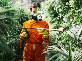 مؤثرترین روشهای مبارزه با شته گیاهان و درختان میوه | شناسایی، پیشگیری و سمزدایی تخصصی 39 مؤثرترین روشهای مبارزه با شته گیاهان و درختان میوه