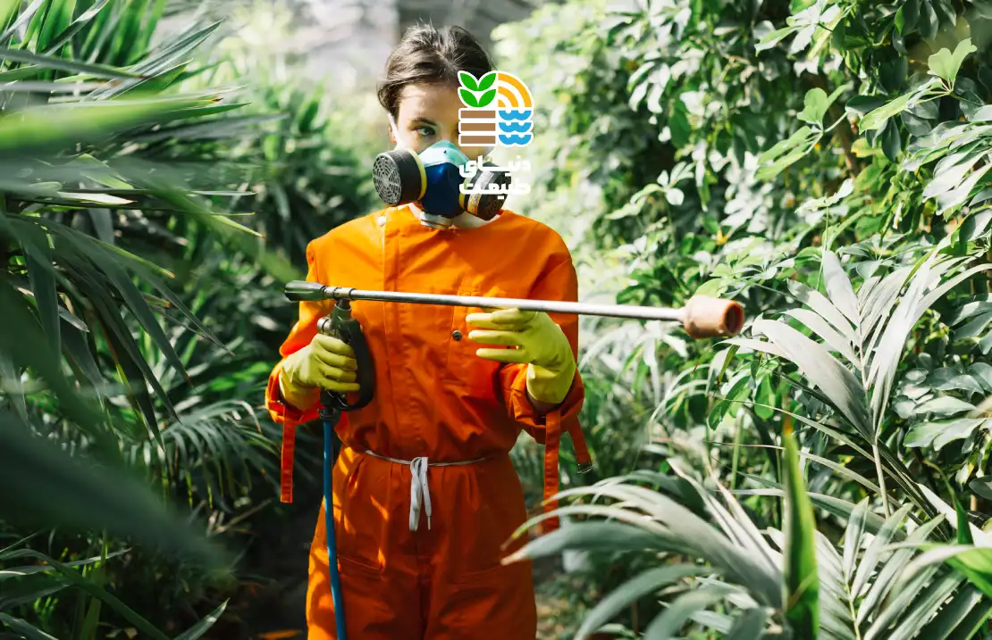 مؤثرترین روش‌های مبارزه با شته گیاهان و درختان میوه