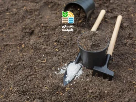 چالکود چیست و بهترین روش انجام آن برای رشد بهتر درختان کدام است؟ 36 چالکود