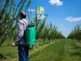 بهترین زمان و روش کوددهی درختان میوه