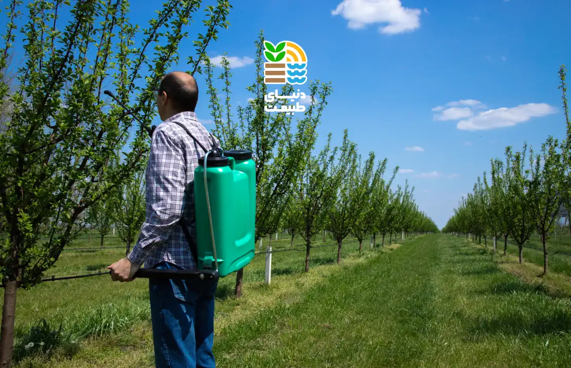 بهترین زمان و روش کوددهی درختان میوه برای افزایش محصول و کیفیت: راهنمای کامل انتخاب و مصرف کود کامل 25 بهترین زمان و روش کوددهی درختان میوه