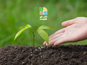 کود ازته چیست و چه زمانی بهترین زمان مصرف آن برای رشد بهتر گیاهان است؟ 42 کود ازته