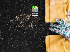 کود گرانوله چیست و چه مزایایی برای رشد گیاهان و افزایش عملکرد محصولات کشاورزی دارد؟ 45 کود گرانوله