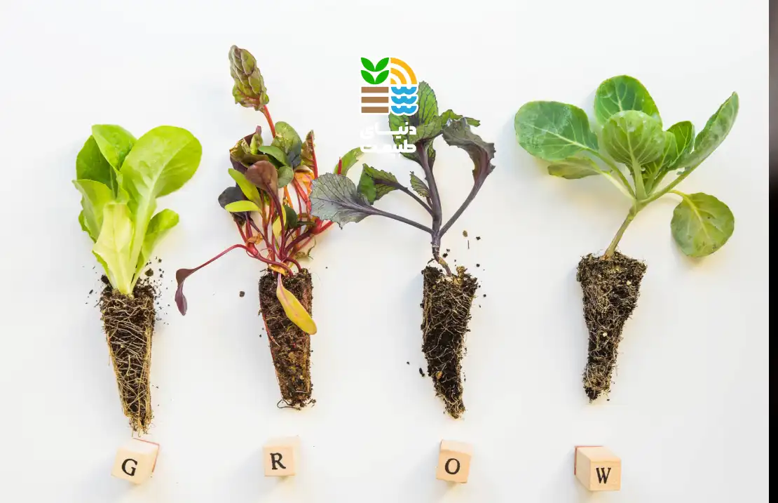 عناصر مورد نیاز گیاهان