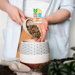 کود مناسب برای گیاهان آپارتمانی