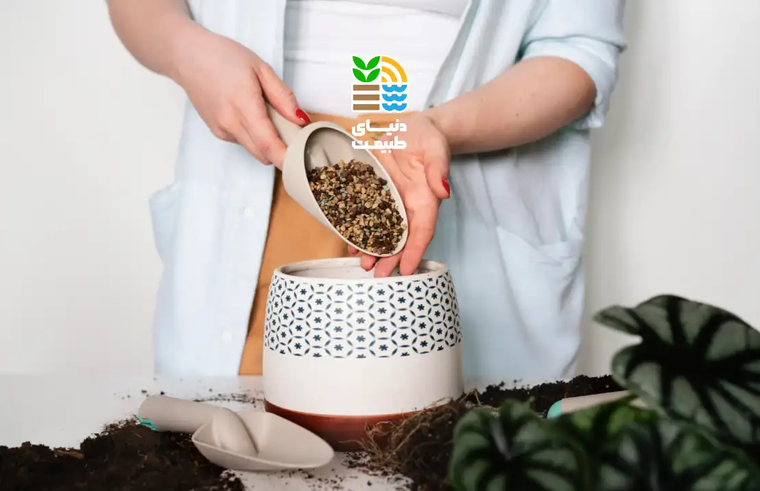 کود مناسب برای گیاهان آپارتمانی چیست؟ بهترین زمان و روش کوددهی گیاهان خانگی 25 کود مناسب برای گیاهان آپارتمانی