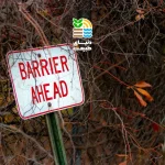 علائم و خطرات کمبود آهن در گیاهان