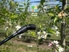 بهترین زمان و روش آبیاری درختان میوه در بهار + نکات کوددهی و صرفهجویی در آب 39 روش آبیاری درختان میوه در بهار