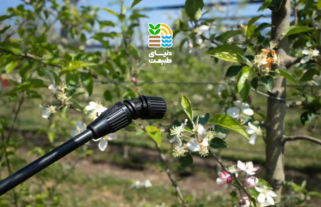 روش آبیاری درختان میوه در بهار