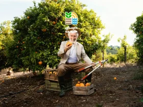 بهترین زمان هرس درختان میوه چه موقع است؟ راهنمای علمی هرس اصولی برای افزایش باردهی و سلامت درخت 42 بهترین زمان هرس درختان میوه