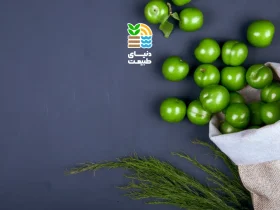 بهترین کود برای آلوچه و گوجه سبز چیست؟ معرفی روشهای کوددهی و افزایش باردهی درختان 33 کود برای آلوچه و گوجه سبز