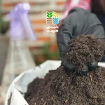 ورمی کمپوست