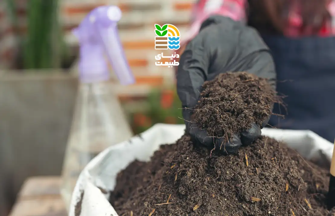 ورمی کمپوست چیست و چه مزایا و معایبی برای گیاهان دارد؟ بررسی بهترین روش مصرف کود ارگانیک برای کشاورزی پایدار 25 ورمی کمپوست