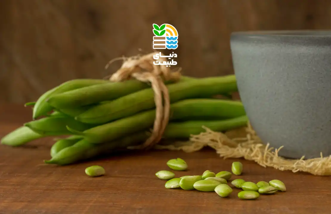 بهترین کود برای لوبیا سبز