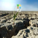 علت شوری خاک