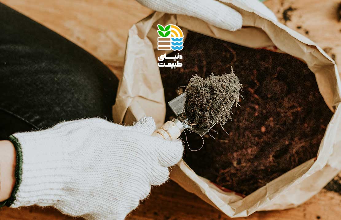 بهترین کود آلی و شیمیایی برای رشد و افزایش باردهی نخل خرما 25 بهترین کود آلی و شیمیایی برای رشد و افزایش باردهی نخل خرما