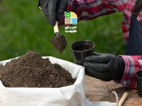 کود فسفر چیست و چه تاثیری در رشد گیاهان دارد؟ | بهترین زمان و روش مصرف کود فسفر 39 کود فسفر