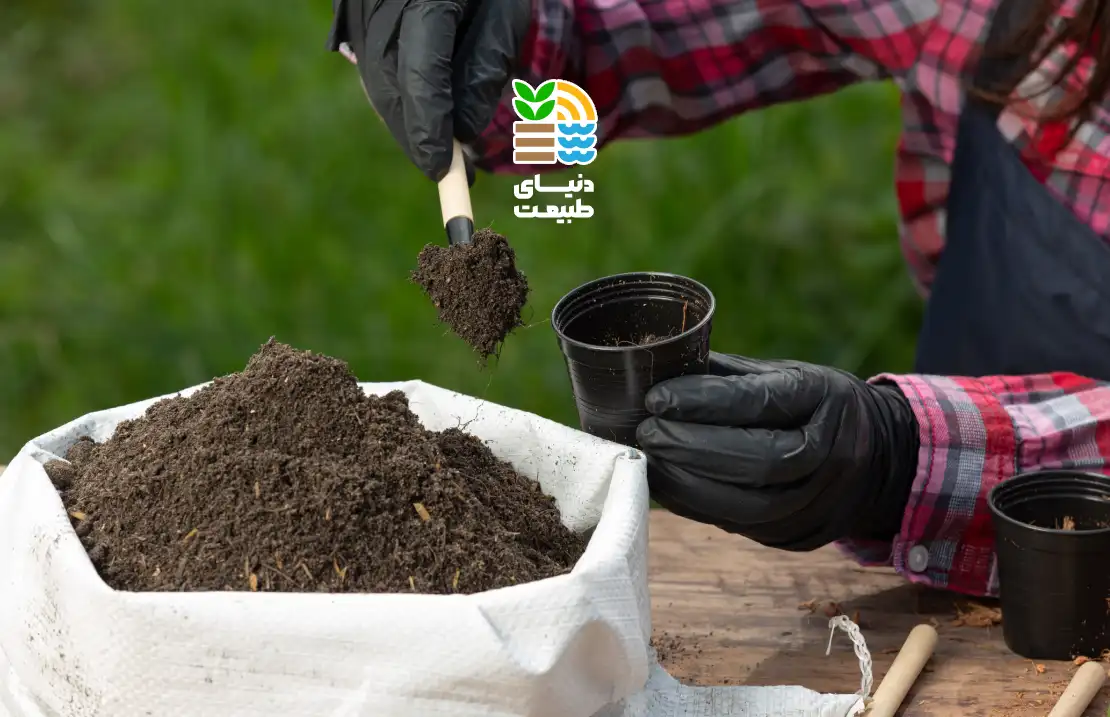 کود فسفر چیست و چه تاثیری در رشد گیاهان دارد؟ | بهترین زمان و روش مصرف کود فسفر 25 کود فسفر