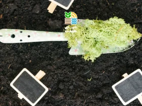 کود سولفات آهن