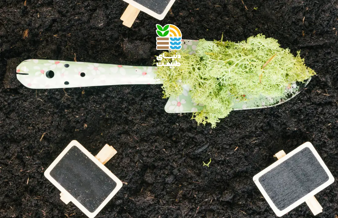 کود سولفات آهن