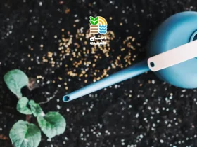 کود ضد استرس گیاهان چیست و چه تاثیری در رشد و مقاومت گیاه دارد؟ 27 کشاورزی کود ضد استرس گیاهان