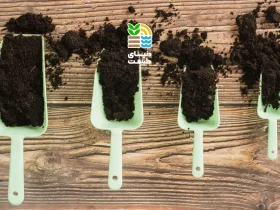 کود پتاس بالا چیست و چه تاثیری بر رشد و گلدهی گیاهان دارد؟ بررسی علائم کمبود و بهترین روش مصرف 45 کود پتاس بالا