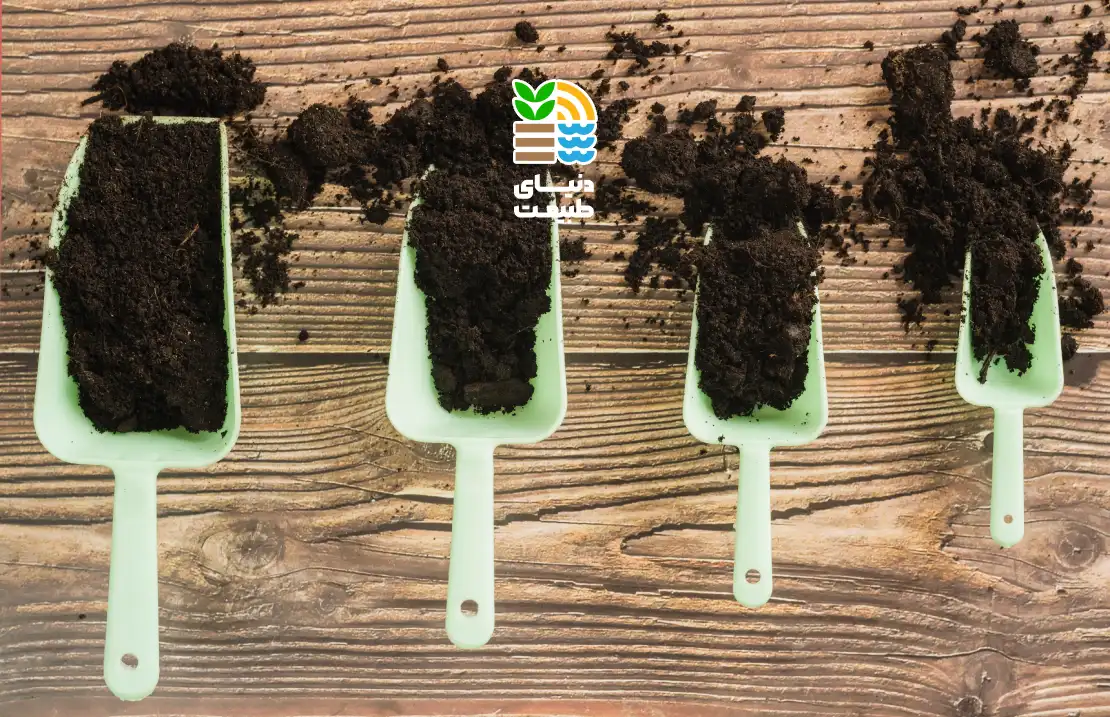 کود پتاس بالا چیست و چه تاثیری بر رشد و گلدهی گیاهان دارد؟ بررسی علائم کمبود و بهترین روش مصرف 25 کود پتاس بالا