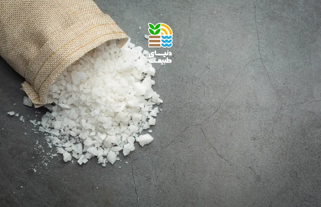 کود سولفات آهن چیست و چگونه برای گیاهان استفاده کنیم؟ بررسی مزایا، مضرات و بهترین روش مصرف 25 کود سولفات آهن