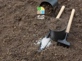 کود سولفات پتاسیم چیست و چه مزایایی برای گیاهان دارد؟ روش مصرف و بهترین زمان استفاده 48 کود سولفات پتاسیم
