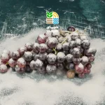سفیدک داخلی انگور چیست
