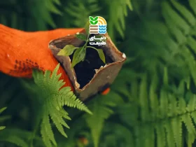 کود روی چیست و چرا برای رشد بهتر و افزایش کیفیت محصولات کشاورزی ضروری است؟ 30 کود روی