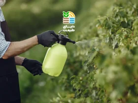 کود ضد سرمازدگی گیاهان چیست و چگونه از سرمازدگی محصولات کشاورزی جلوگیری میکند؟ 51 کود ضد سرمازدگی گیاهان