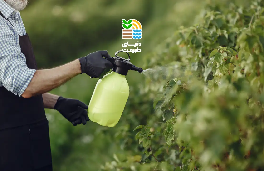 کود ضد سرمازدگی گیاهان چیست و چگونه از سرمازدگی محصولات کشاورزی جلوگیری میکند؟ 25 کود ضد سرمازدگی گیاهان