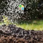 کود آهسته رهش