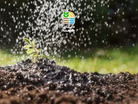 کود آهسته رهش چیست و چه مزایایی برای کشاورزی و تغذیه گیاهان دارد؟ 33 کود آهسته رهش