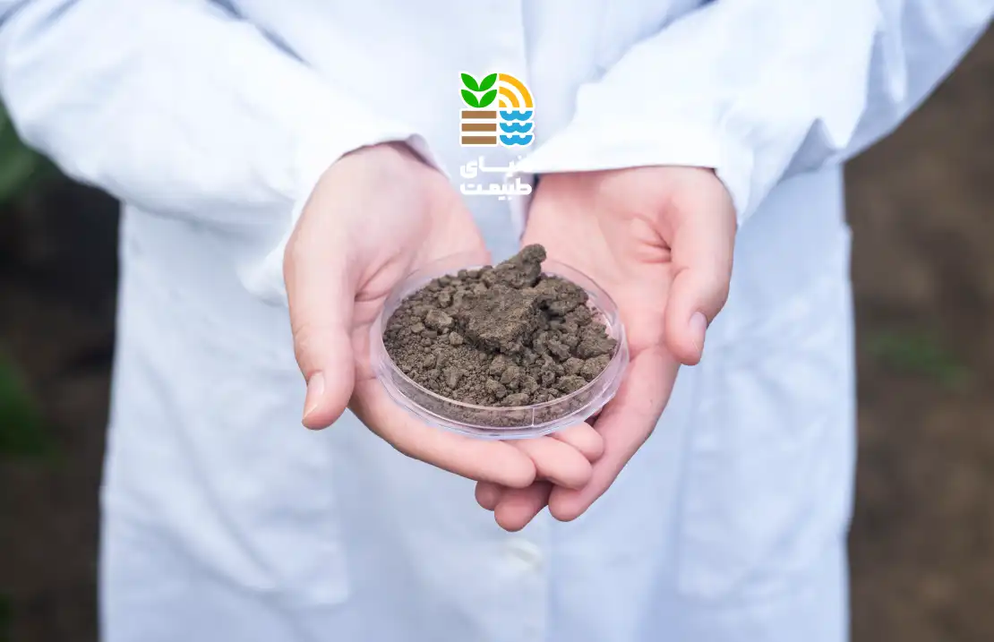 کود گوگرد چیست و چه زمانی باید برای گیاهان استفاده کنیم؟ بررسی انواع، مزایا و معایب کود گوگرد در کشاورزی 25 کود گوگرد