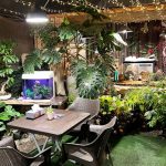 کافه گل؛ پاتوق دنج عاشقان گل و گیاه