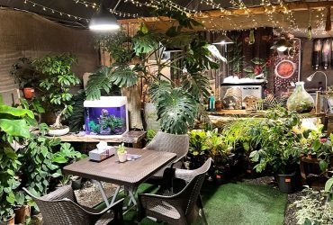 کافه گل؛ پاتوق دنج عاشقان گل و گیاه