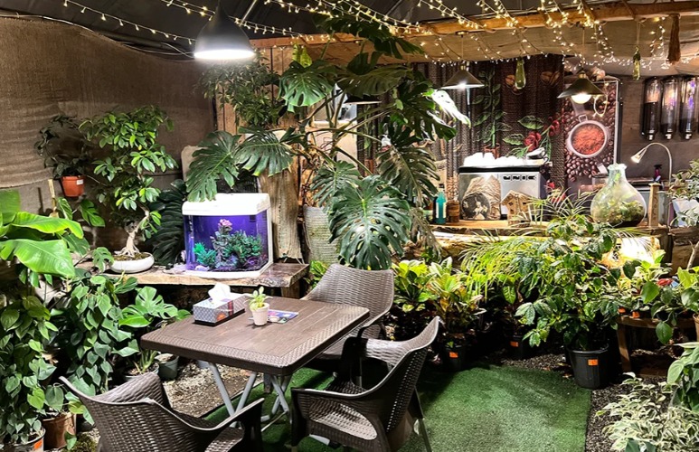 کافه گل؛ پاتوق دنج عاشقان گل و گیاه 25 کافه گل؛ پاتوق دنج عاشقان گل و گیاه